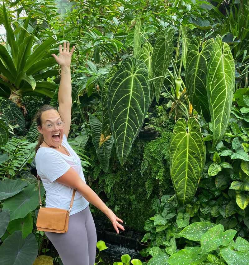 Plantswithroos