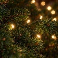 Warmwitte kerstlichtjes tussen dennentakken