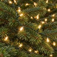 Warmwitte lichtjes tussen groene takken