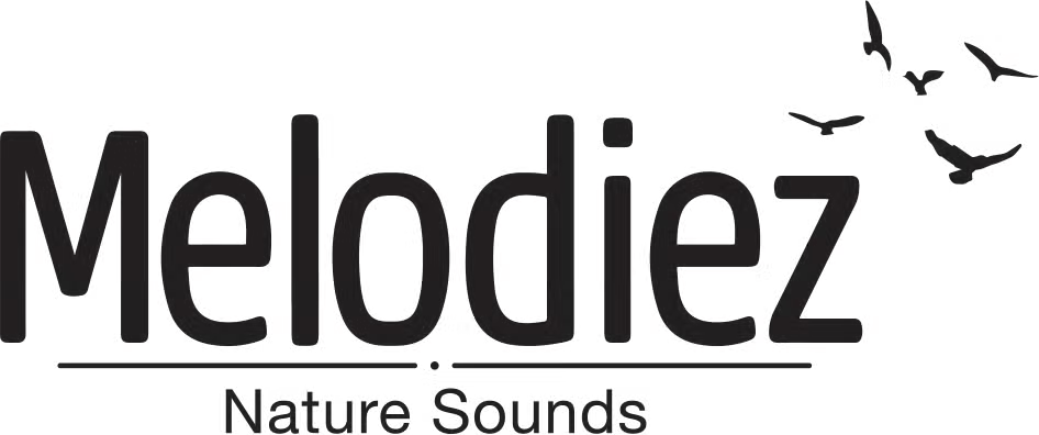 Melodiez