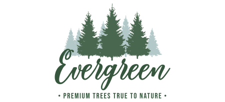 Evergreen