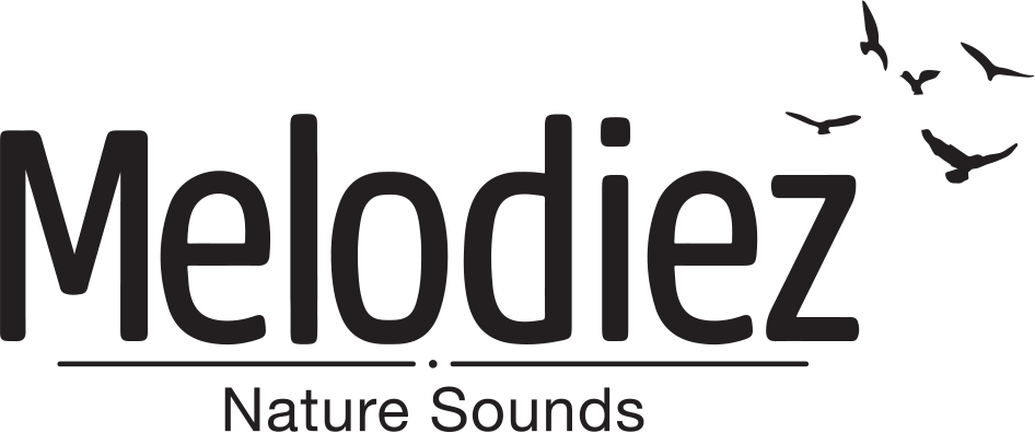 Melodiez