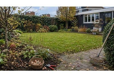 Tuinonderhoud in het najaar: zo maak je je tuin klaar voor herfst en winter