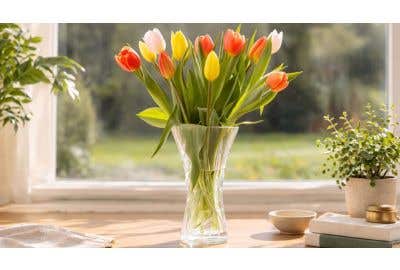 Tulpen in vaas zetten: zo schik je ze mooi én houd je ze langer fris