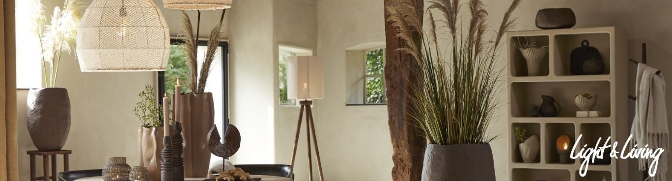 Light & Living