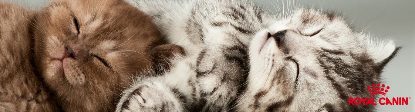 Royal Canin