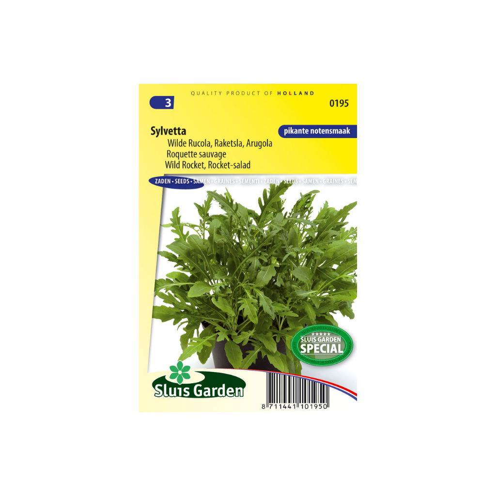 Wilde Rucola Diplotaxis Selv. Sylvetta