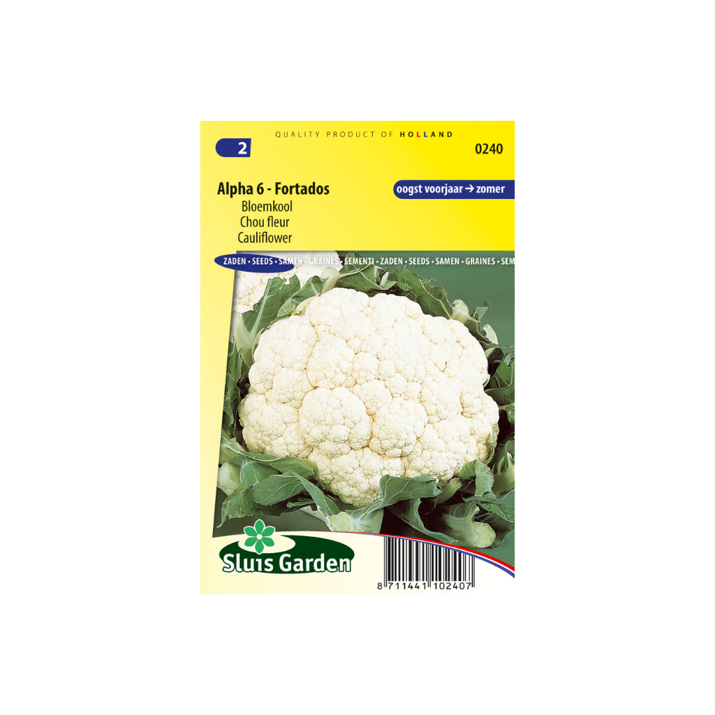 Bloemkool Alpha 6 Fortados