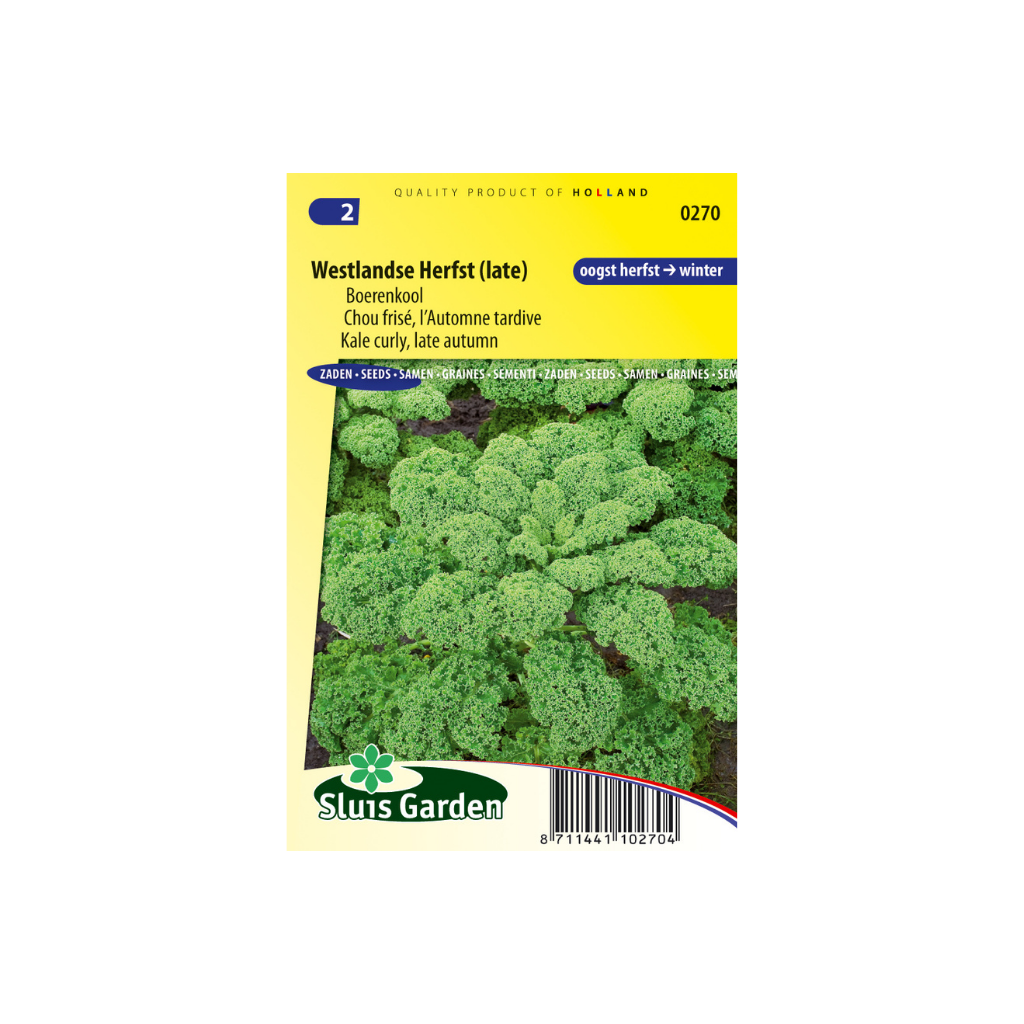 Boerenkool Westlandse Herfst