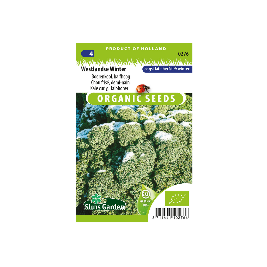Boerenkool Westlandse Winter BIO
