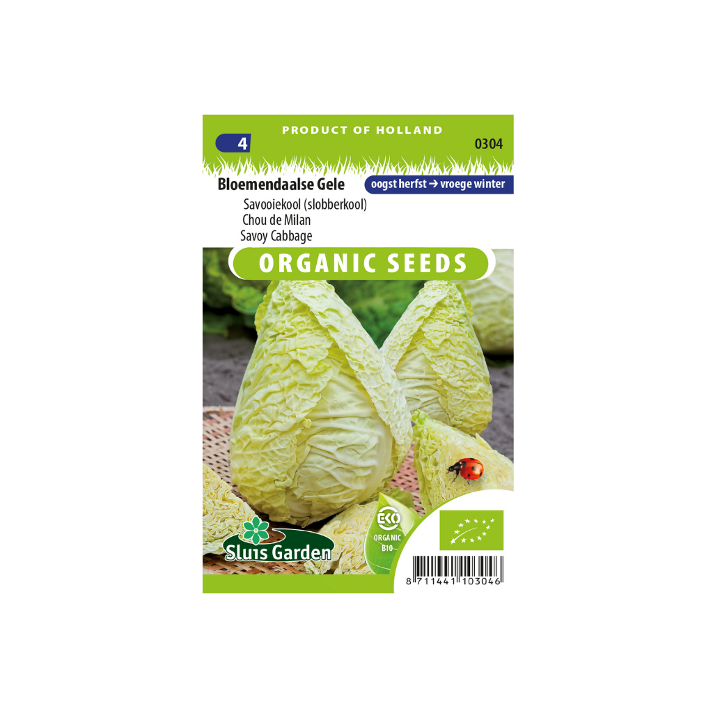 Savooiekool Bloemendaalse Gele BIO