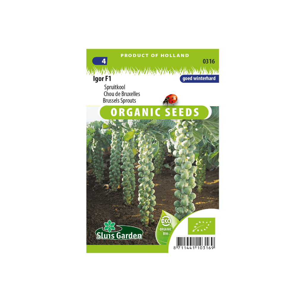 Spruitkool Igor F1 BIO