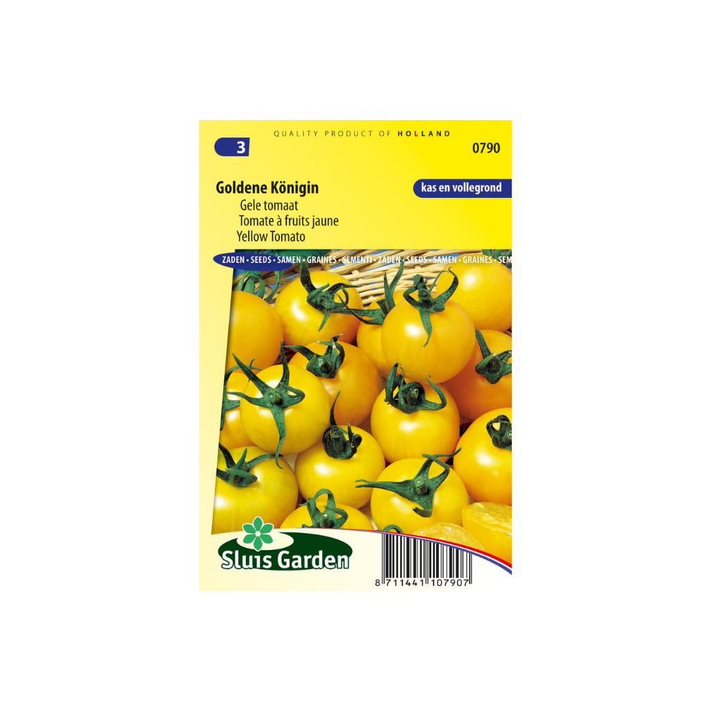 Tomaat Goldene Konigin