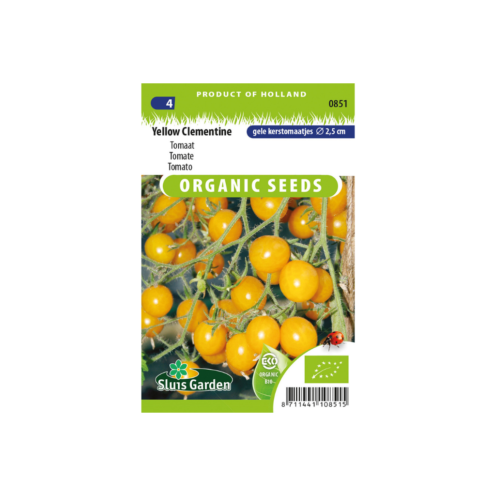 Tomaat Yellow Clementine BIO