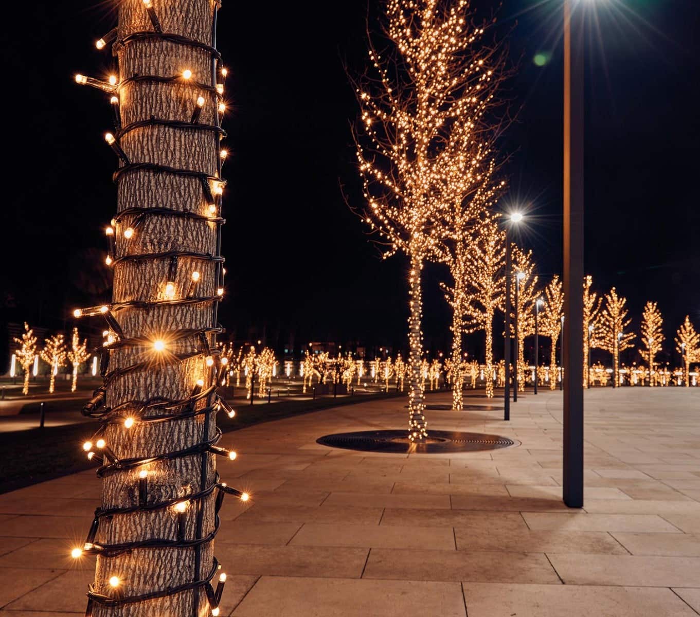 Anna's Collection Connect de luxe met 100 lampjes warm wit 10 m