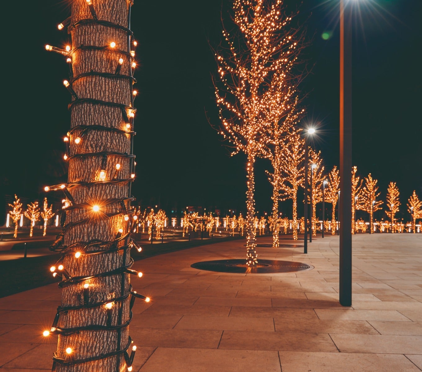 Anna's Collection Connect de luxe Koppelverlichting 10 m 100 lampjes