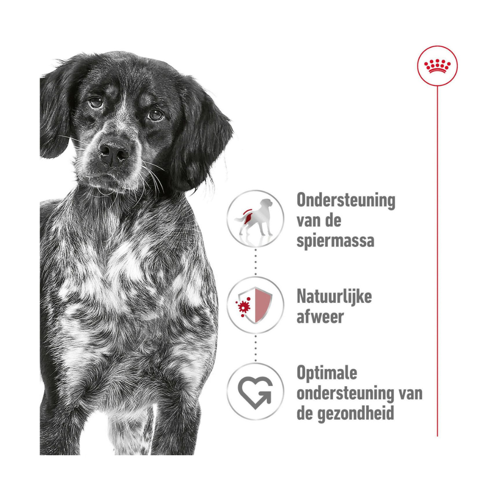 Royal Canin Hondenvoer Medium adult 15 kg