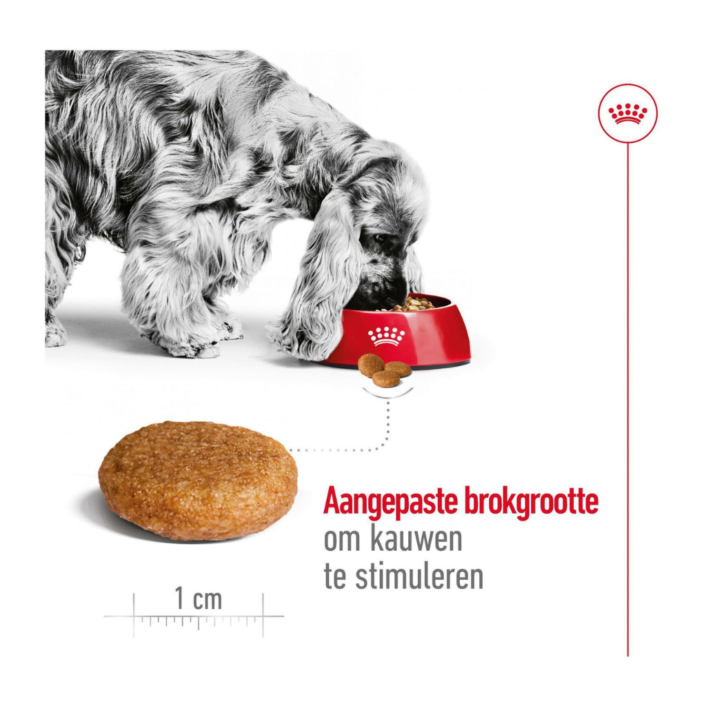 Royal Canin Hondenvoer Medium adult 15 kg