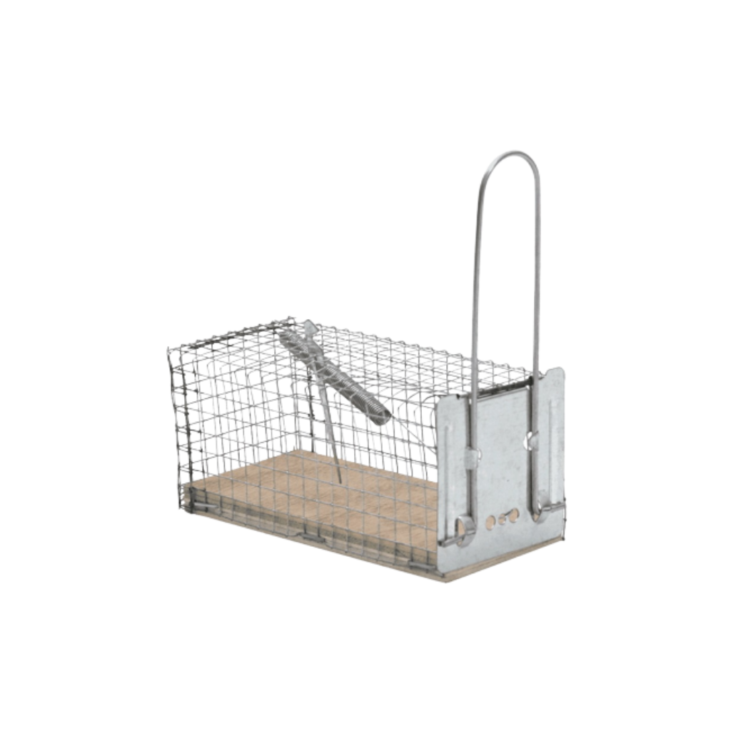 Protect Home muizen Vangkooi Diervriendelijk