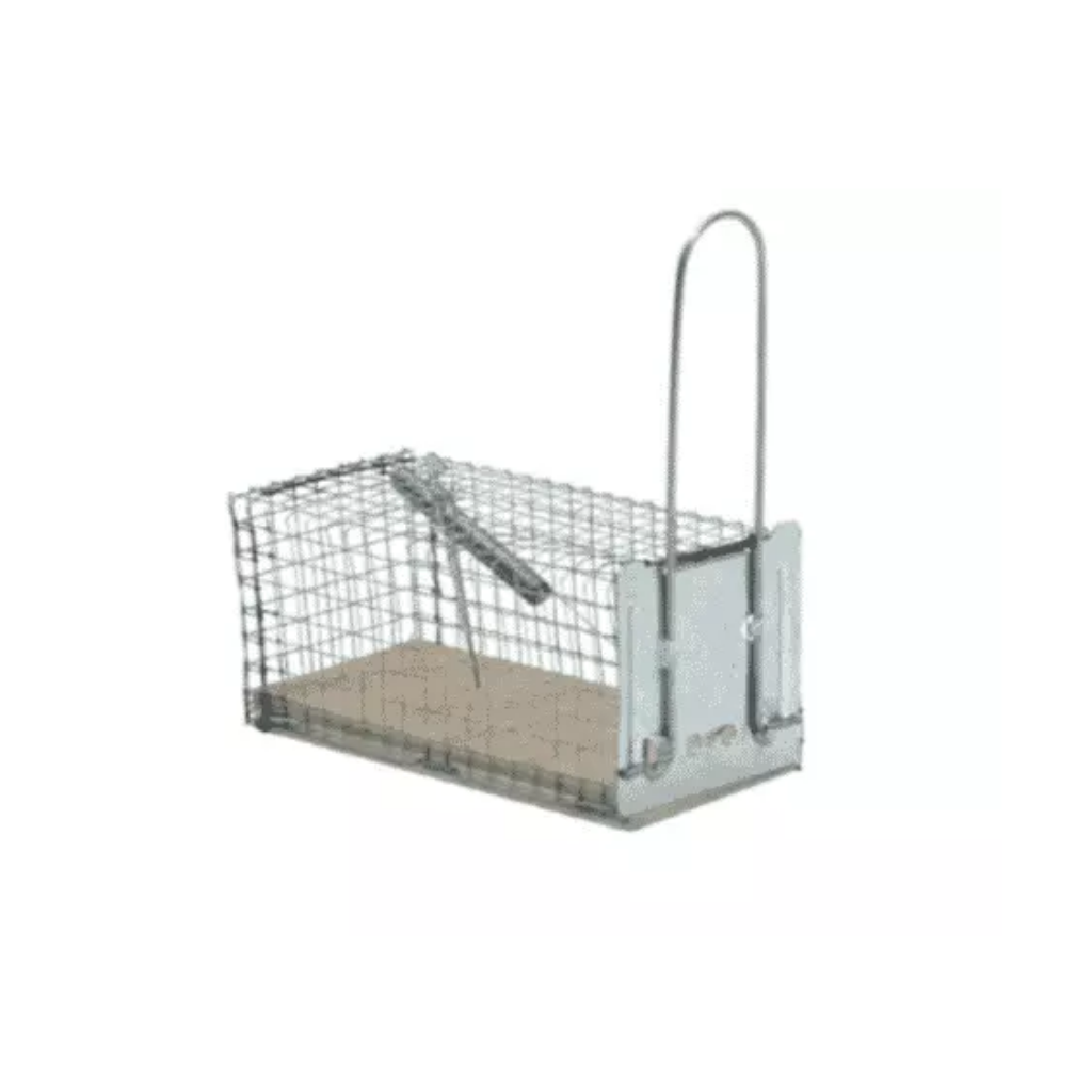 Protect Home ratten Vangkooi Diervriendelijk