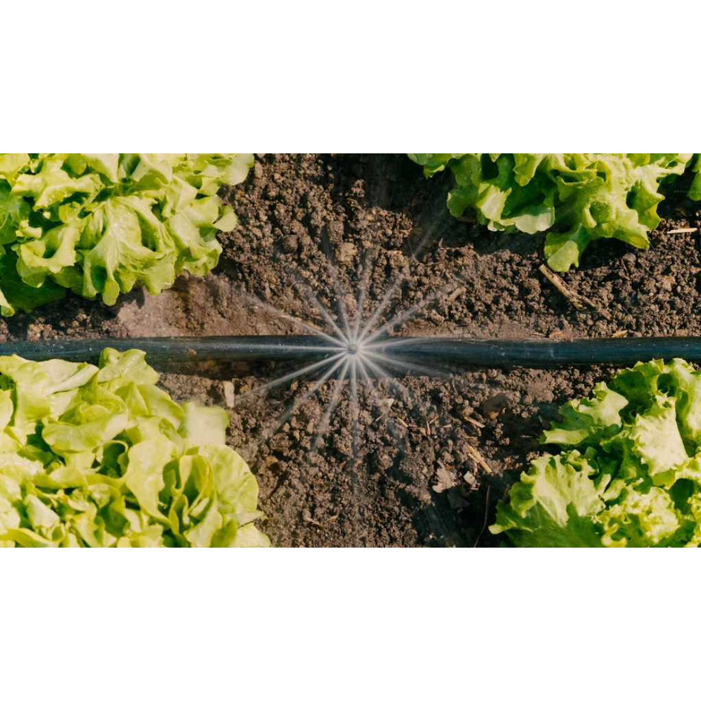 Gardena Startset groenten & bloemen
