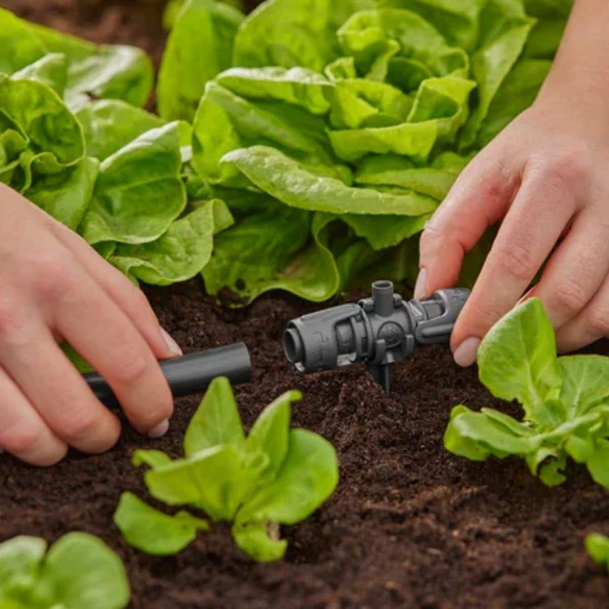 Gardena T-stuk 1/2" voor Sproeiers Micro-Drip Systeem