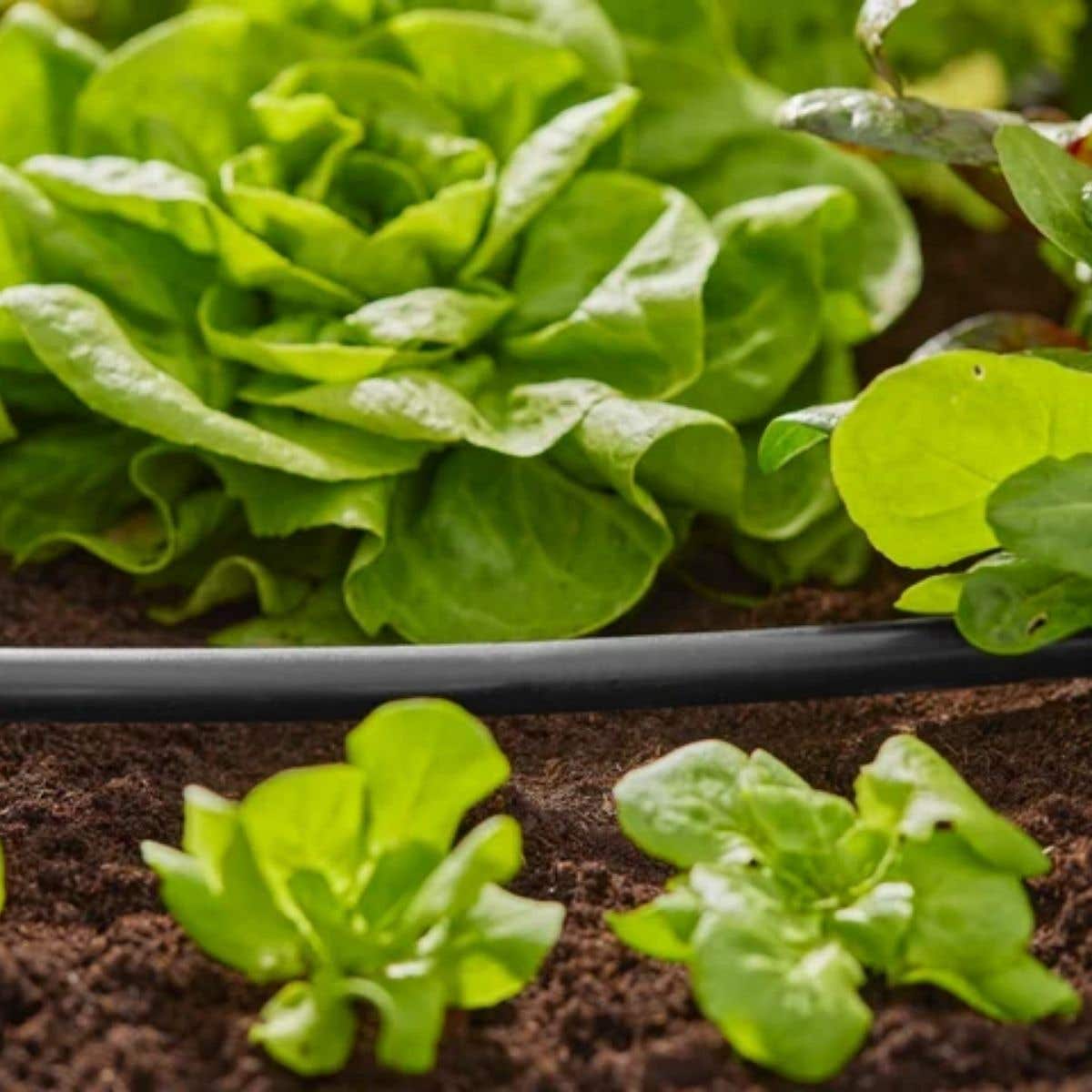Gardena Koppelingsbuis Flex 13mm (1/2") 50m Micro Drip Systeem