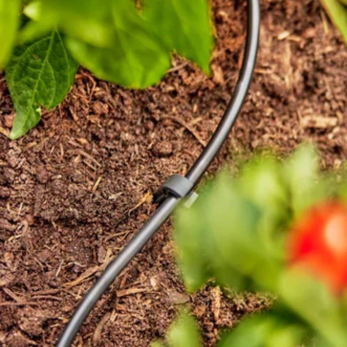 Gardena Aanvoerbuis 4,6mm (3/16") 50m Micro-Drip Systeem