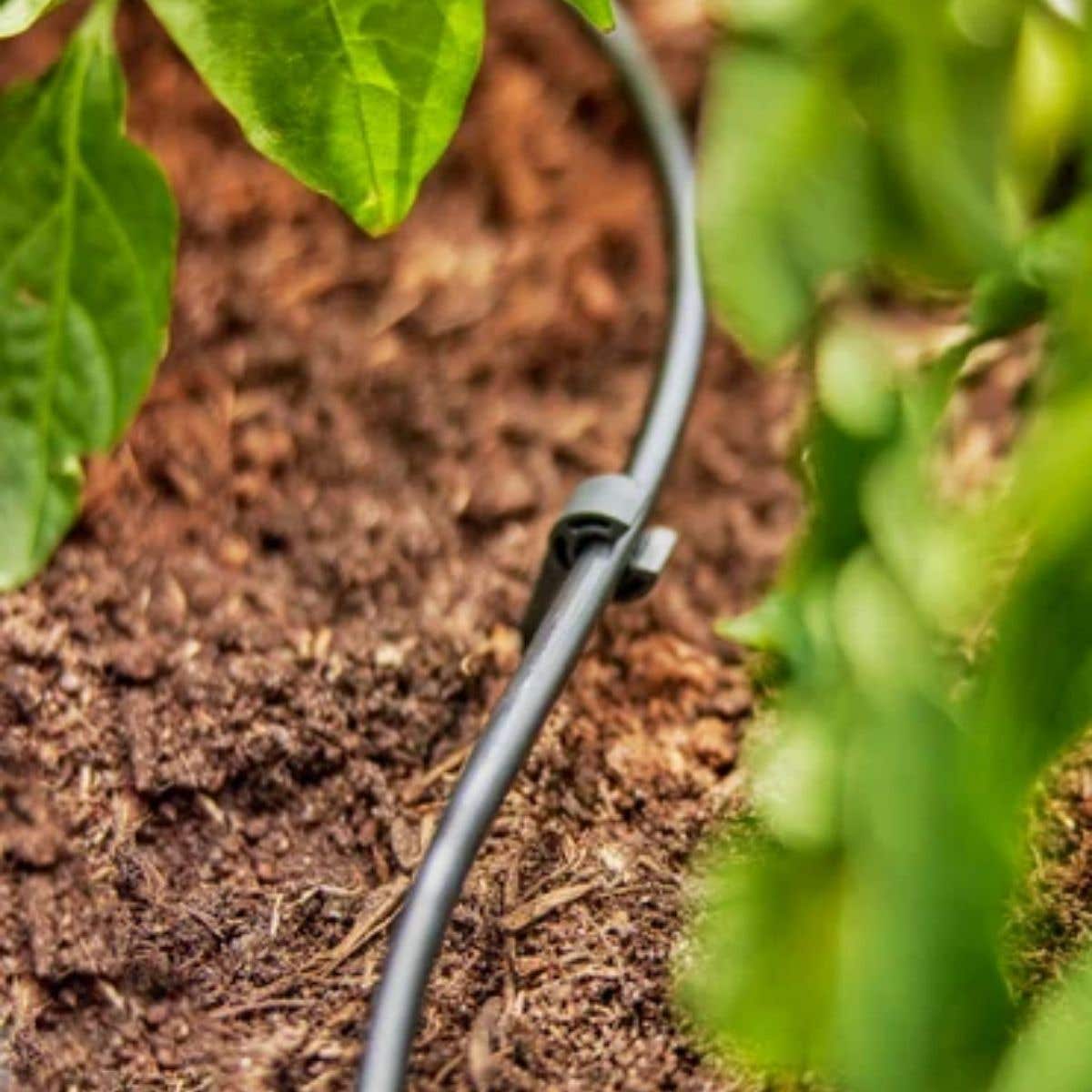 Gardena Aanvoerbuis 4,6mm (3/16") 15m Micro-Drip Systeem