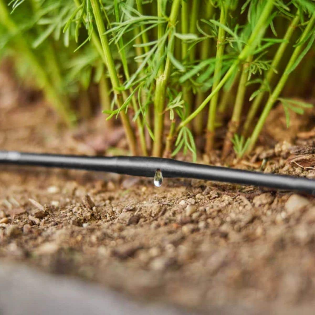 Gardena Bovengrondse Druppelbuis 4,6mm (3/16") 15m Micro-Drip Systeem