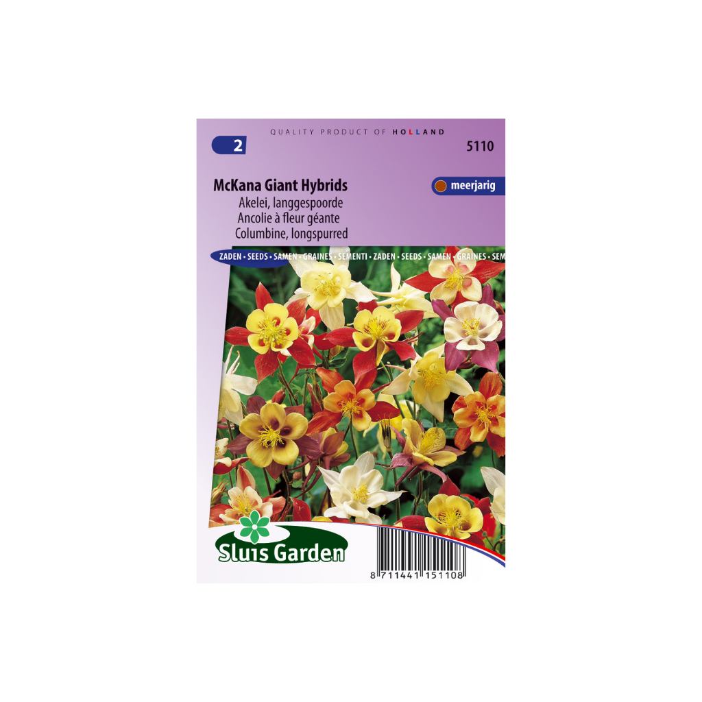 Aquilegia McKana Giant Hybrids