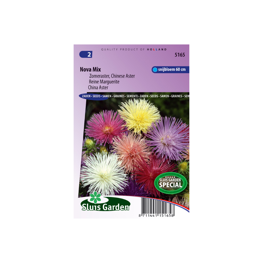 Callistephus chinensis Nova mix