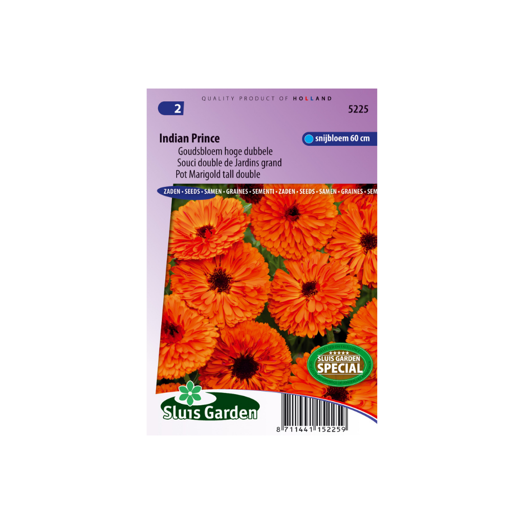 Calendula Off. double Indian Prince