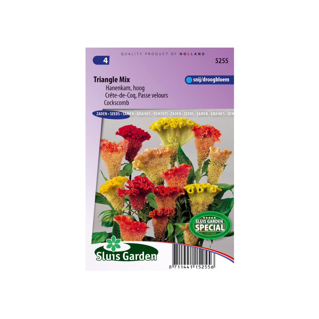 Celosia argentea cristata Triangle Mix