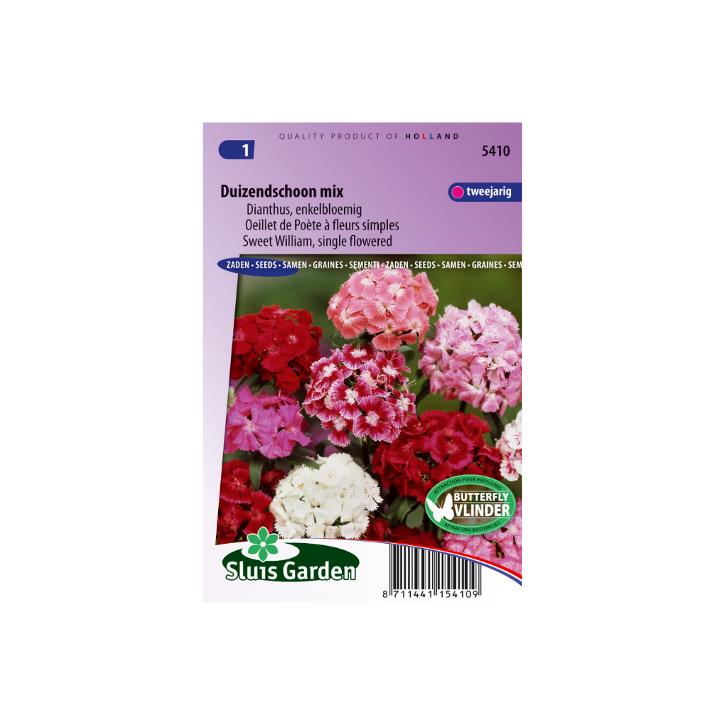 Dianthus barbatus Single Choice Mixed