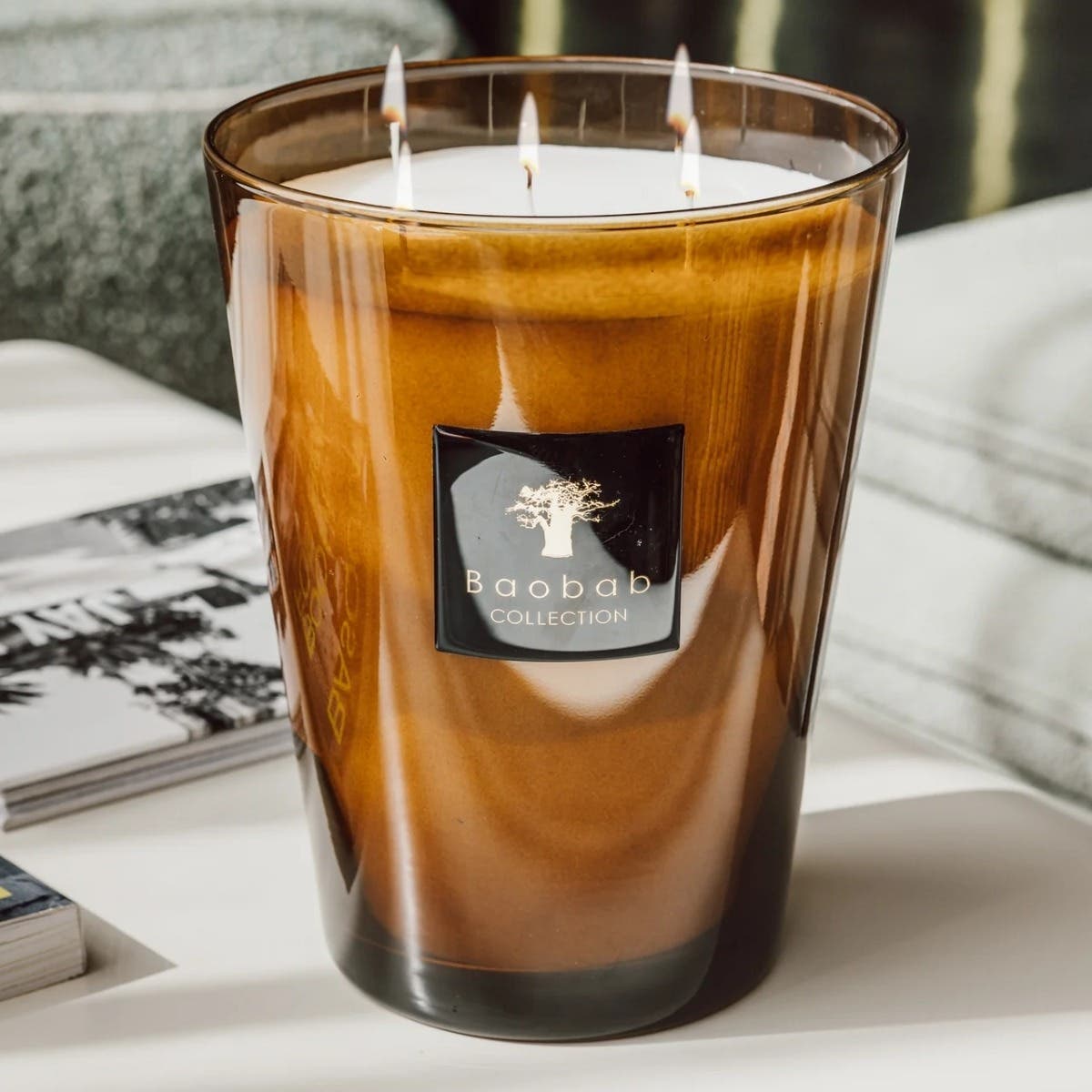Baobab Geurkaars Les Prestigieuses Cuir de Russie Max 24