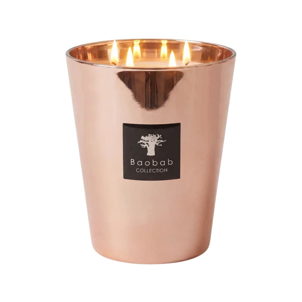 Baobab Geurkaars Les Exclusives Roseum Max 16