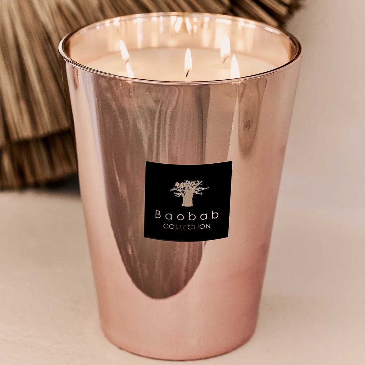 Baobab Geurkaars Les Exclusives Roseum Max 24
