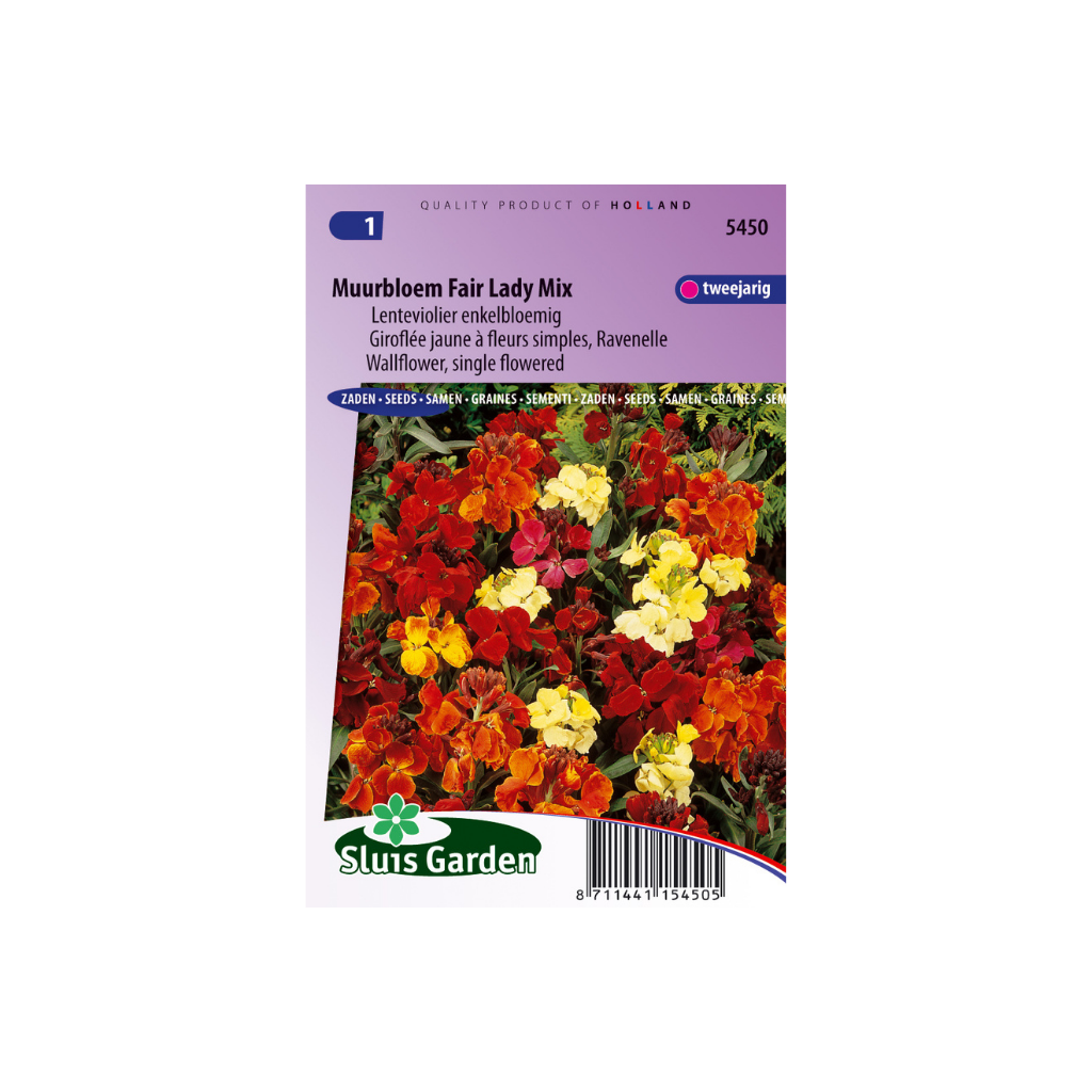 Cheiranthus c. single Fair Lady mix