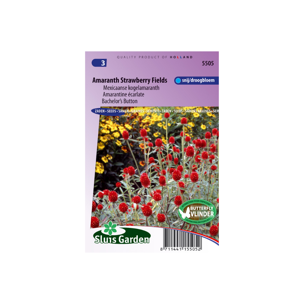 Gomphrena haageana Strawberry fields