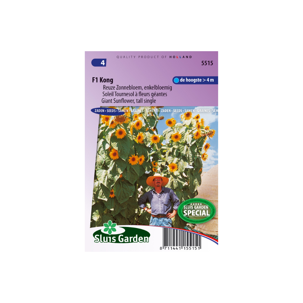 Helianthus annuus Kong F1