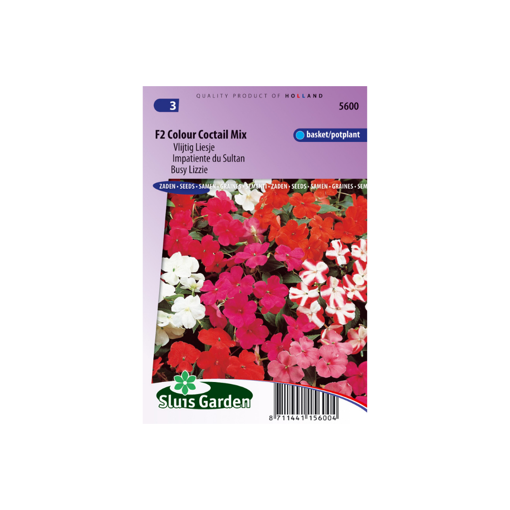 Impatiens wall. Colour Cocktail F2