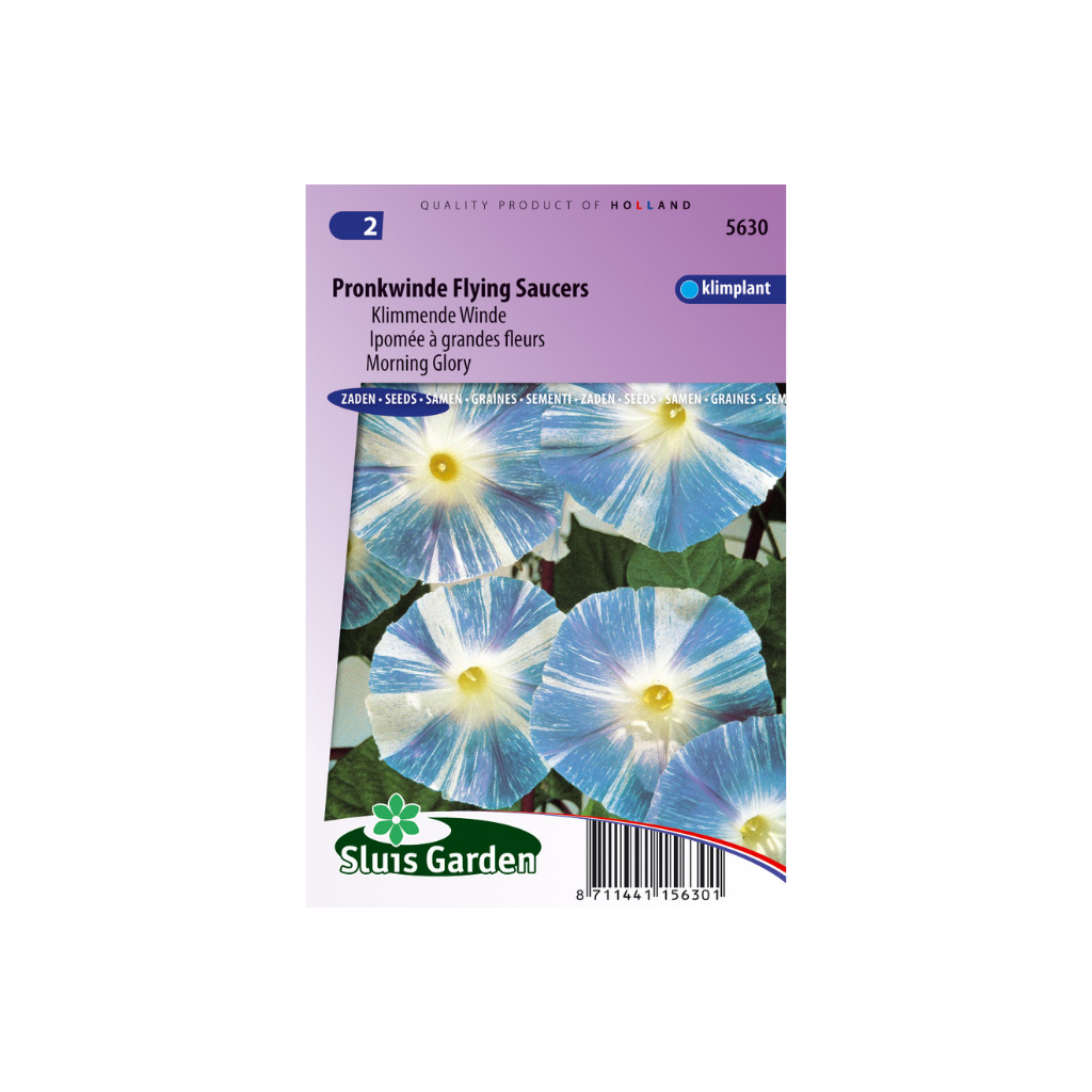 Ipomoea tricolor Flying Saucer