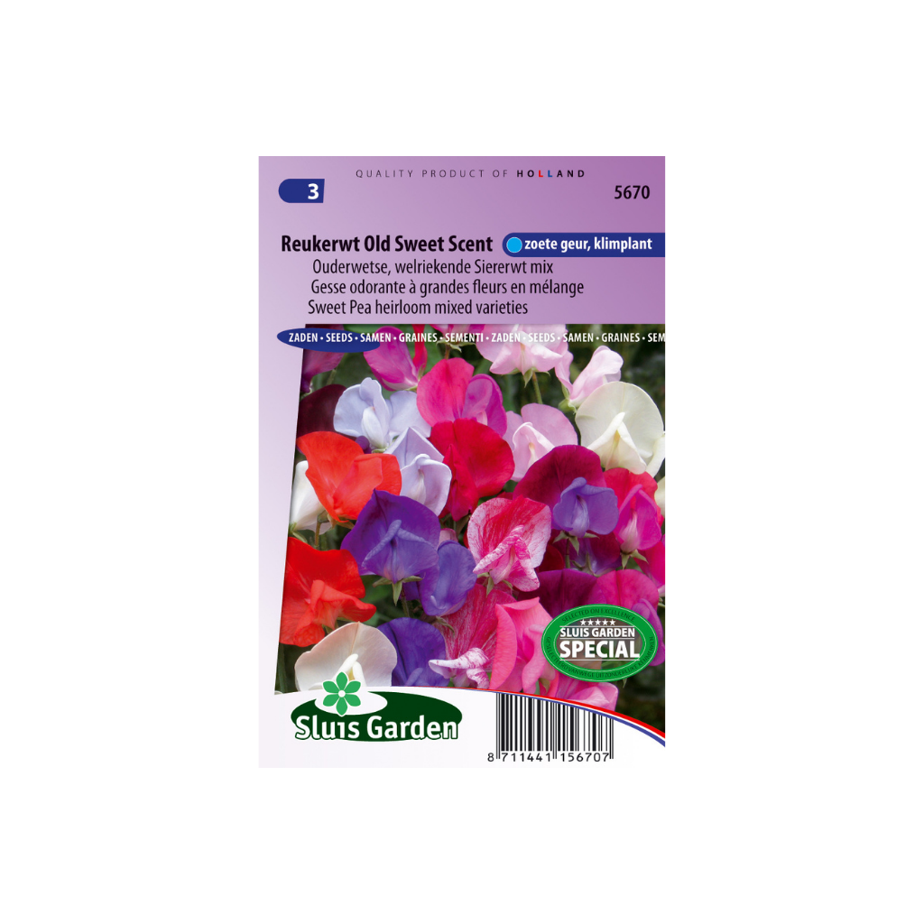 Lathyrus od. Grandifl. Old Sweet Scent