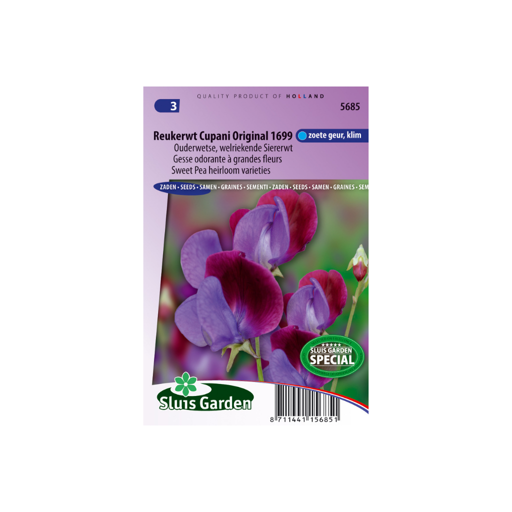 Lathyrus od. grand. Cupani's original
