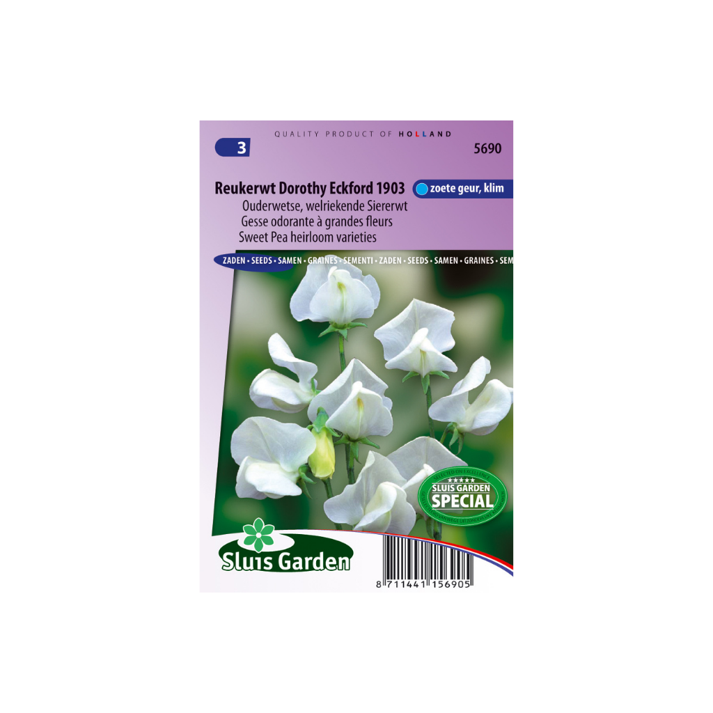 Lathyrus od. gr. Dorothy Eckford 1903