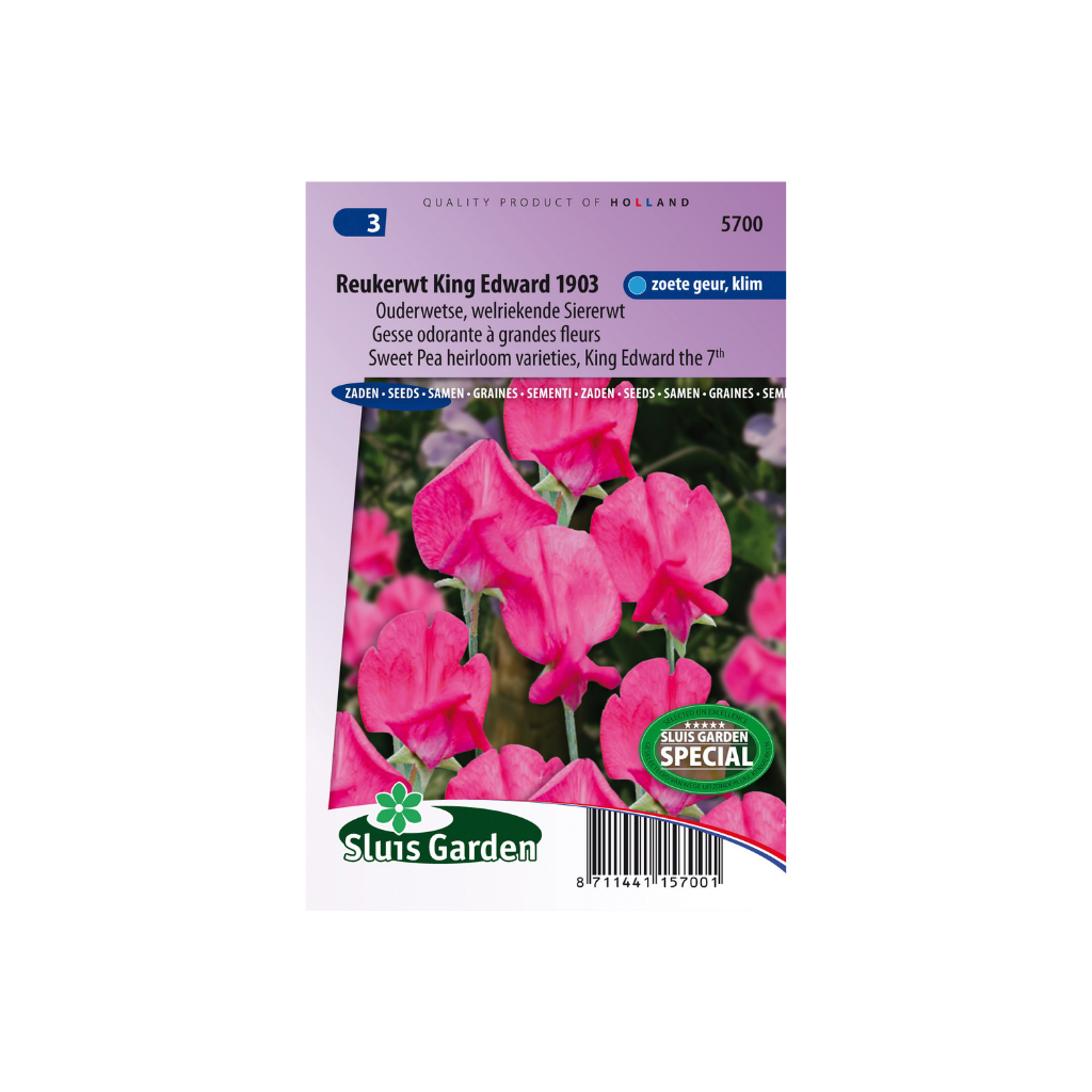 Lathyrus od. gr. King Edw. the 7th 1903