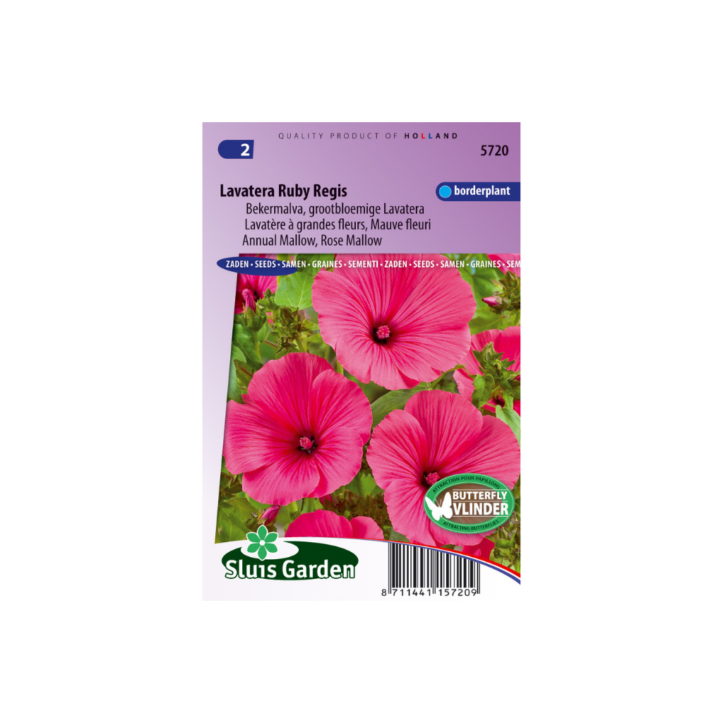 Lavatera trimestris Ruby Regis