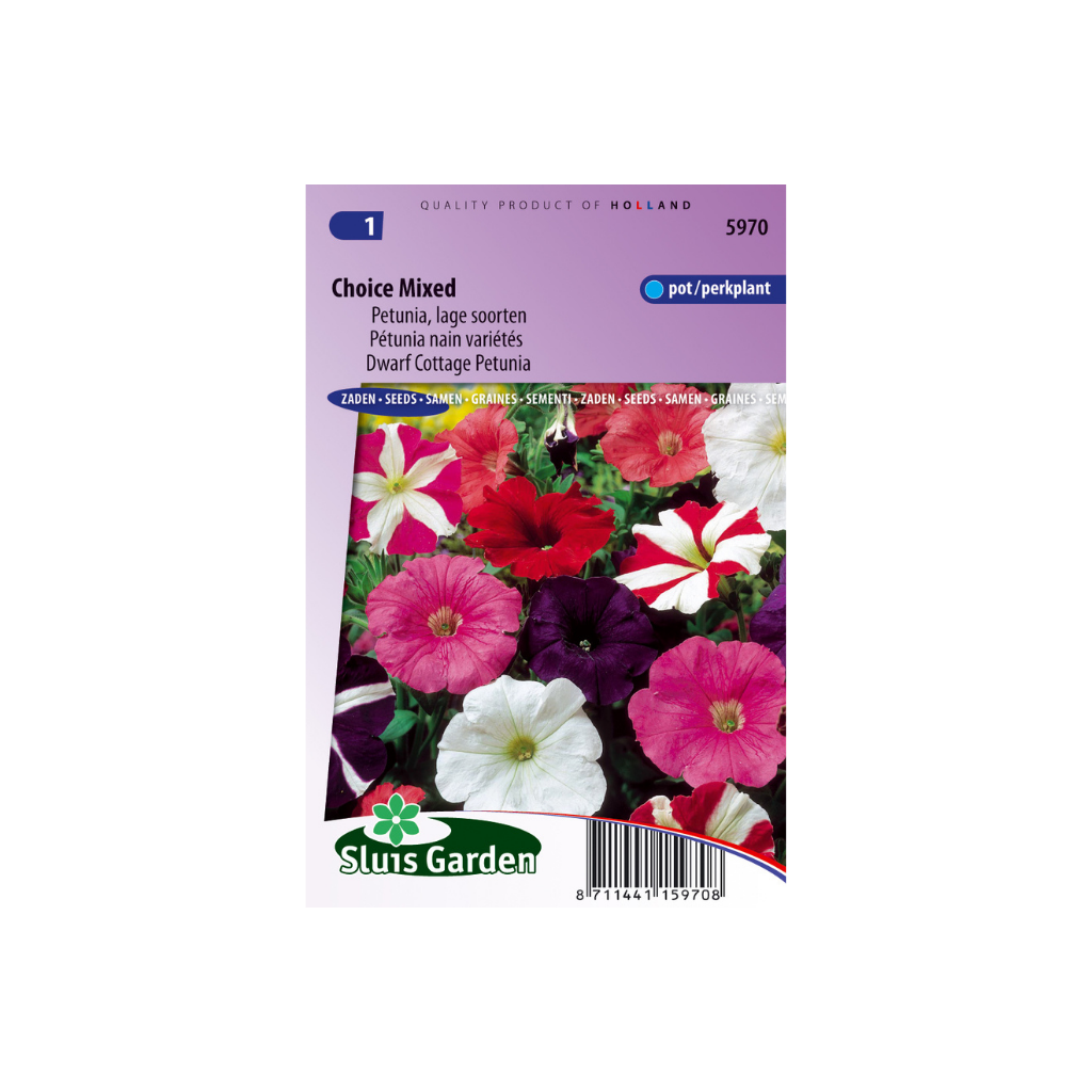 Petunia multiflora hybrida n.c. Mixed