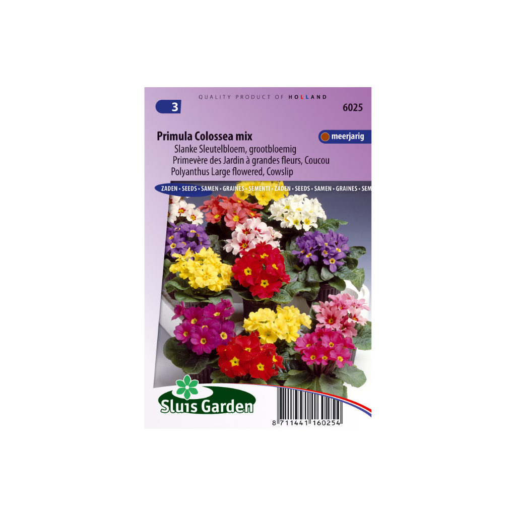 Primula veris eliator Colossea Mixed